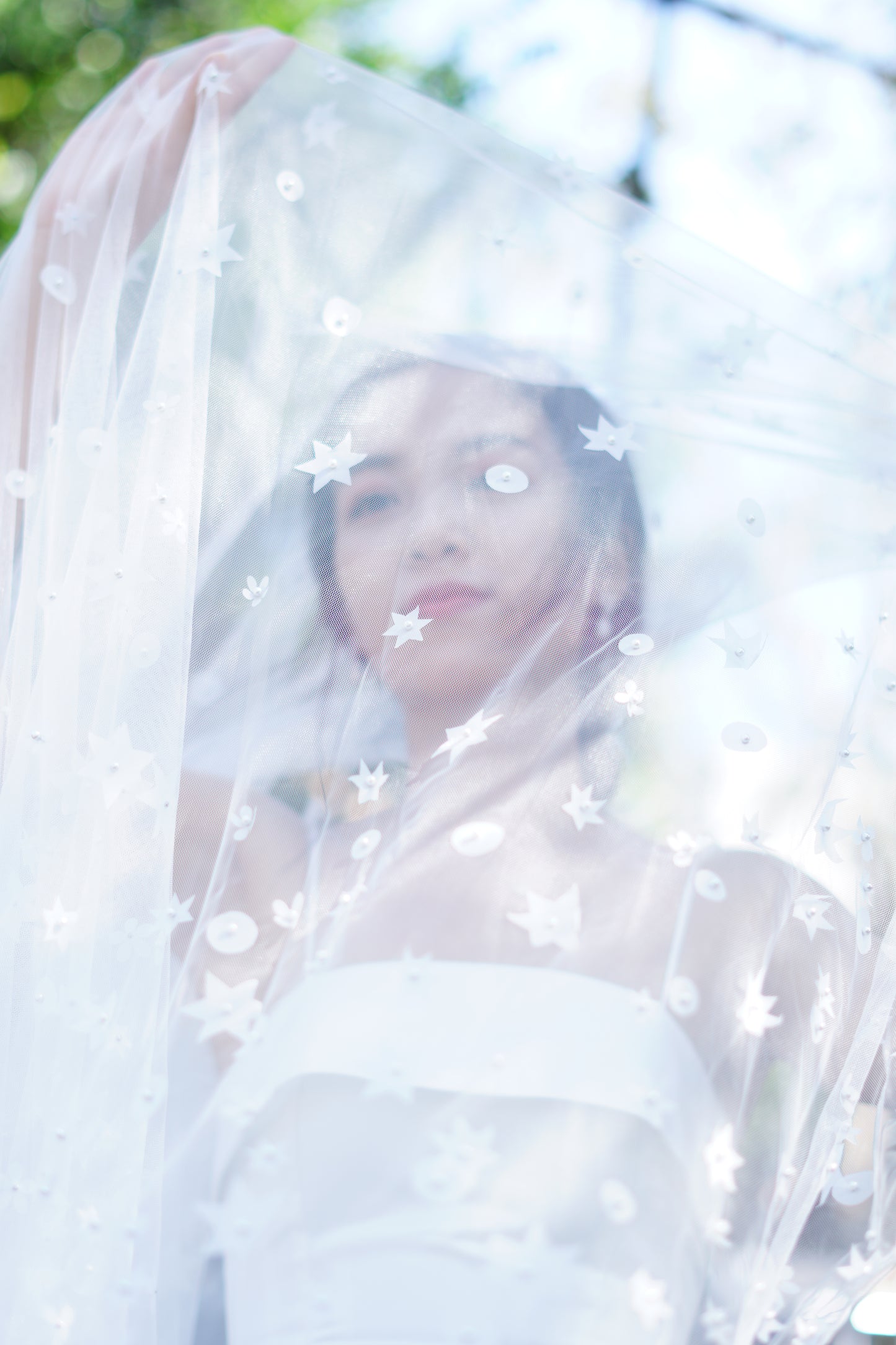Starry Wedding Veil | Celestial Bridal Veil with Star Accents | Cathedral Length
