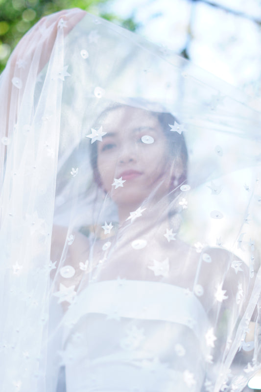 Starry Wedding Veil | Celestial Bridal Veil with Star Accents | Cathedral Length